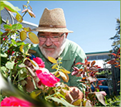 Le Québec en mode jardins!