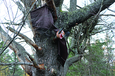 Les Chauves-souris de l’épouvante de retour aux 3 Monts