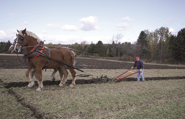 Canton de Lingwick: Concours de labour