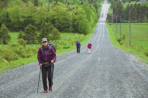 14 km de marche sur le Chemin de Saint-Jacques