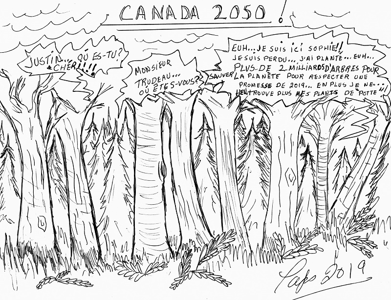Caricature du mois de novembre 2019