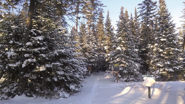 Allons à la montagne !