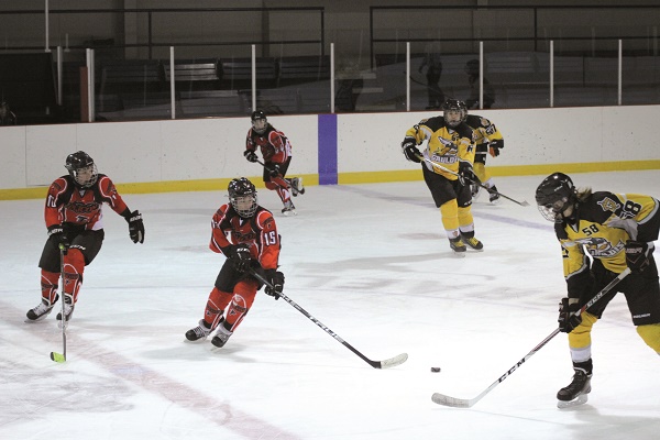 Hockey scolaire : Les Gaulois jouent pour une moyenne de .500