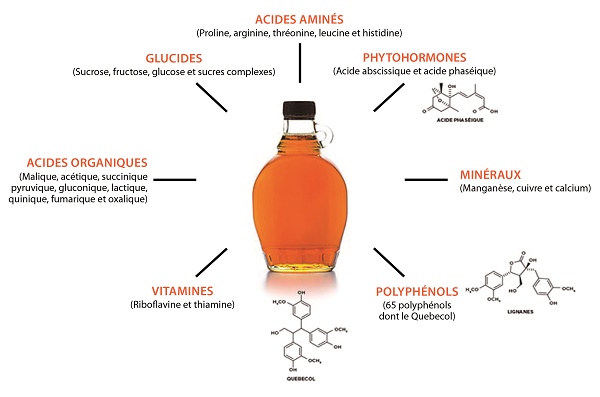 Le sirop d’érable expliqué !